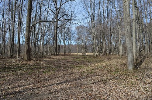 Property photo 108 - REAL ESTATE & PERSONAL PROPERTY AUCTION, 140 Acres offered in 8 Tracts or Combinations in Steuben County